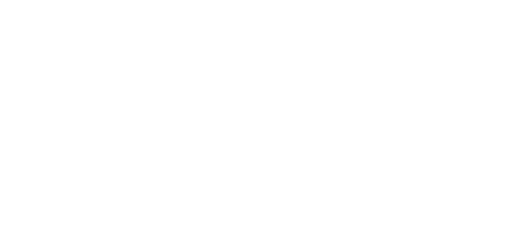 pnina tornai quote