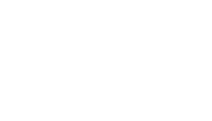 pnina tornai quote