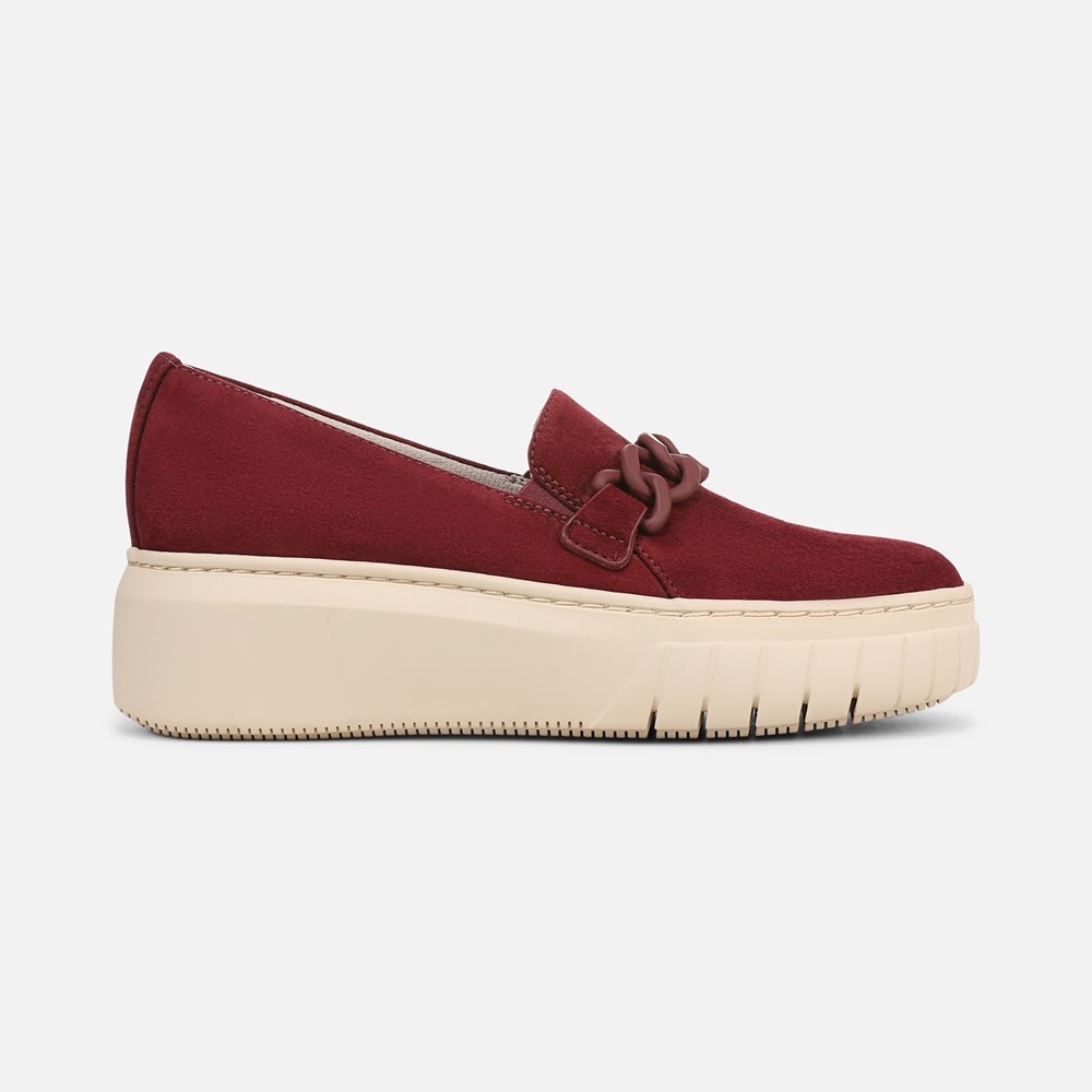 ◆Daphne◆ Daphne x rollsdorfii 'Wilhelm Schacht' – Dancing Oaks Nursery and